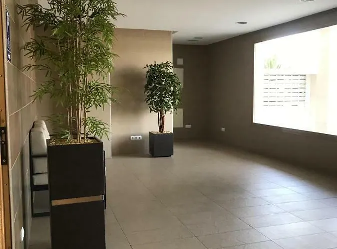 Con Buena Vista * 卡尔佩